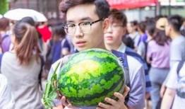 学生免费吃瓜视频,学生免费吃瓜活动欢乐上演