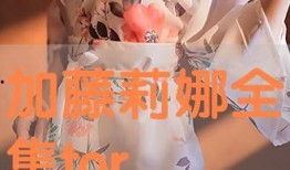 加藤莉娜在线观看,网络红人的魅力之旅