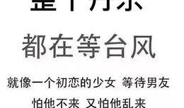 最新台风爆料新闻内容,超强风暴来袭，多地预警升级！”