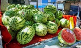 和县网红吃瓜事件真相揭秘,揭秘背后真相与争议