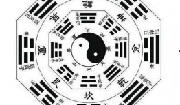 八卦爆料玩法大全视频播放,揭秘视频播放背后的奥秘