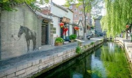 济南小网红吃瓜事件,揭秘网络舆论的风暴与真相