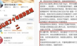 员工爆料孙东旭视频播放,揭秘职场真相与人性较量