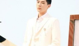 王安宇圈内人爆料视频,揭秘娱乐圈不为人知的一面