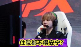 刘青松粉丝爆料视频,揭秘偶像幕后故事