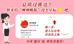 新闻媒体爆料收费标准,透明度与争议并存