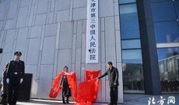 天津东丽法院最新爆料,案件细节及进展全解析