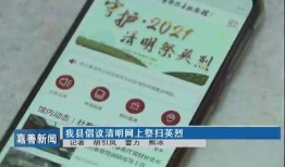 嘉善新闻爆料电话号码,揭秘爆料电话背后的故事