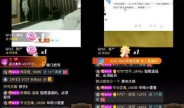 电话爆料类型视频是什么,揭秘幕后真相与网络舆论的力量