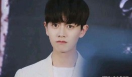 圈内八卦爆料任嘉伦,揭秘娱乐圈背后的神秘恋情