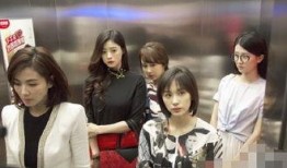 高清在线观看欢乐颂,高清在线观看，共赴都市情感盛宴