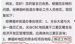 仁化网友爆料新闻最新,惊现神秘事件，真相即将揭晓！