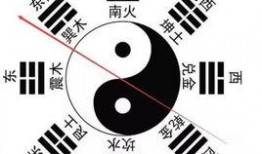 八卦爆料玩法大全视频播放,揭秘视频播放背后的奥秘