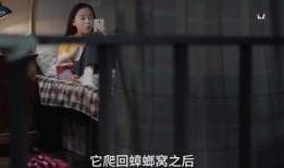 红叶姐姐爆料视频大全最新,揭秘娱乐圈幕后真相